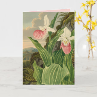 Pink Lady Slipper Vintage Botanical Orchid Card