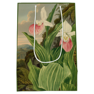 Pink Lady Slipper Vintage Botanical Orchid Medium Gift Bag