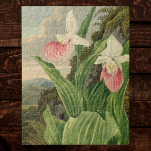Pink Lady Slipper Vintage Floral Orchid Botanical Jigsaw Puzzle