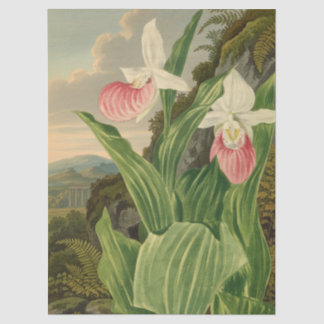 Pink Lady Slipper Vintage Floral Orchid Botanical Tissue Paper