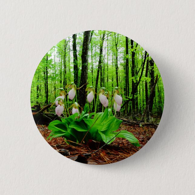 Pink Lady Slipper wild Orchid Button (Front)