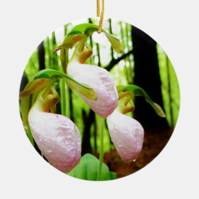 Pink Lady Slipper wild Orchid Ceramic Ornament (Front)