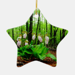 Pink Lady Slipper wild Orchid Ceramic Ornament