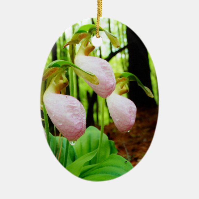 Pink Lady Slipper wild Orchid Ceramic Ornament (Front)