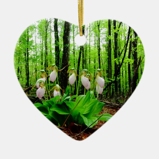 Pink Lady Slipper wild Orchid Ceramic Ornament (Front)