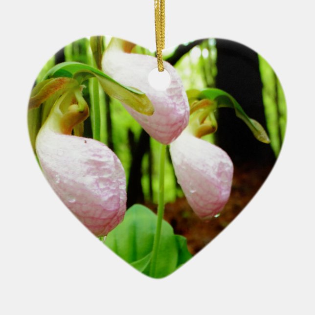 Pink Lady Slipper wild Orchid Ceramic Ornament (Front)