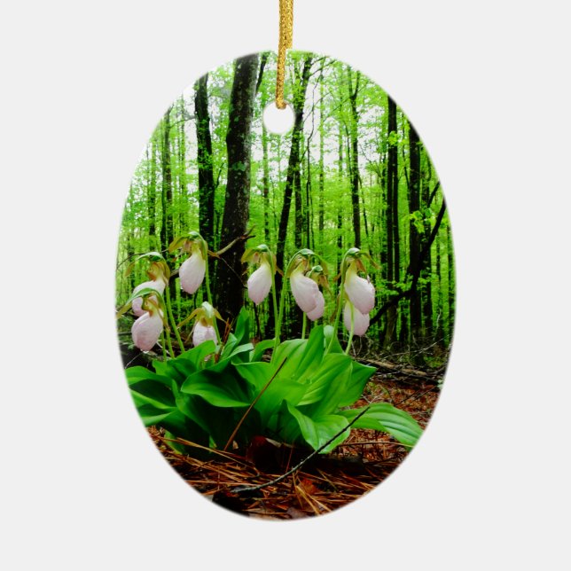 Pink Lady Slipper wild Orchid Ceramic Ornament (Front)