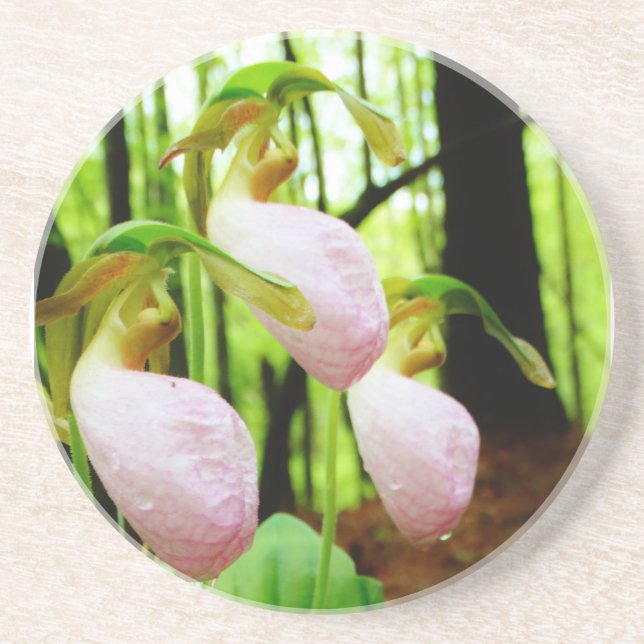 Pink Lady Slipper wild Orchid Drink Coaster (Front)