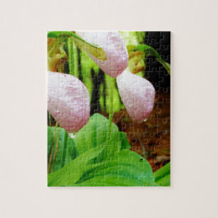 Pink Lady Slipper wild Orchid Jigsaw Puzzle