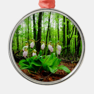 Pink Lady Slipper wild Orchid Metal Ornament