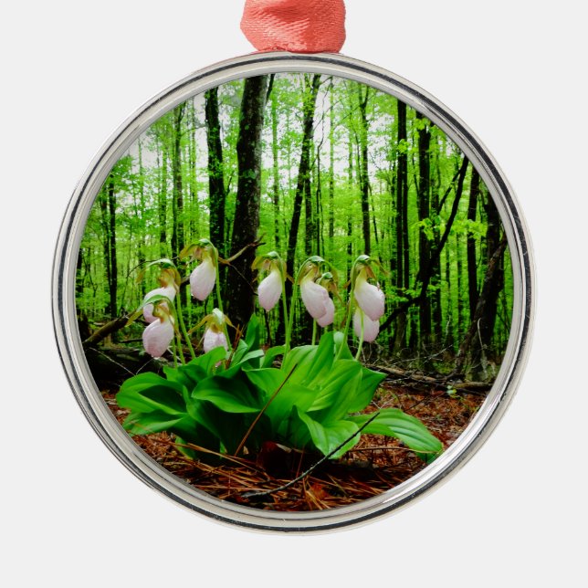 Pink Lady Slipper wild Orchid Metal Ornament (Front)