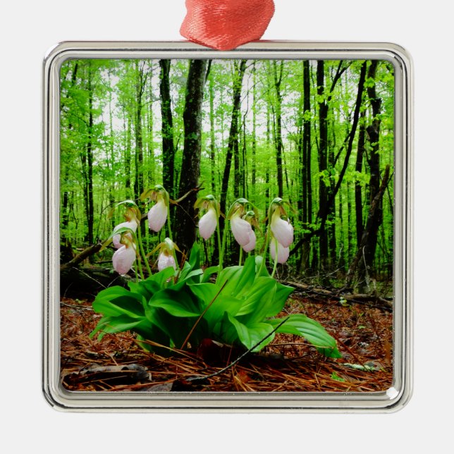 Pink Lady Slipper wild Orchid Metal Ornament (Front)