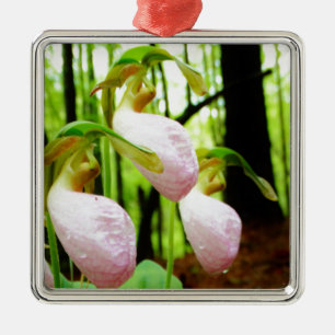 Pink Lady Slipper wild Orchid Metal Ornament