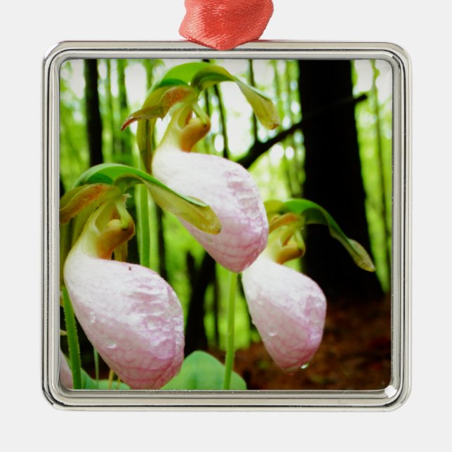 Pink Lady Slipper wild Orchid Metal Ornament (Front)
