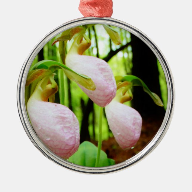 Pink Lady Slipper wild Orchid Metal Ornament (Front)
