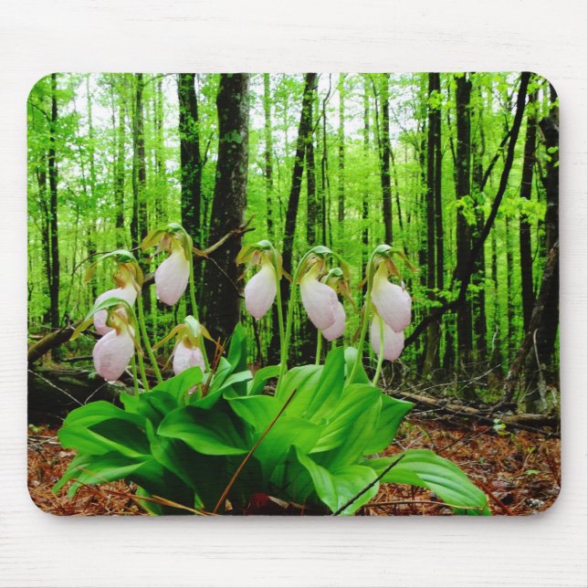 Pink Lady Slipper wild Orchid Mouse Pad (Front)