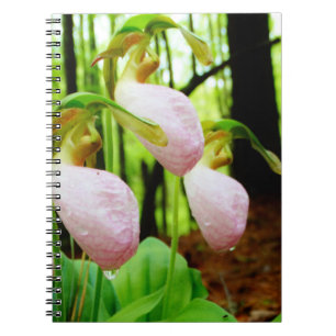 Pink Lady Slipper wild Orchid Notebook