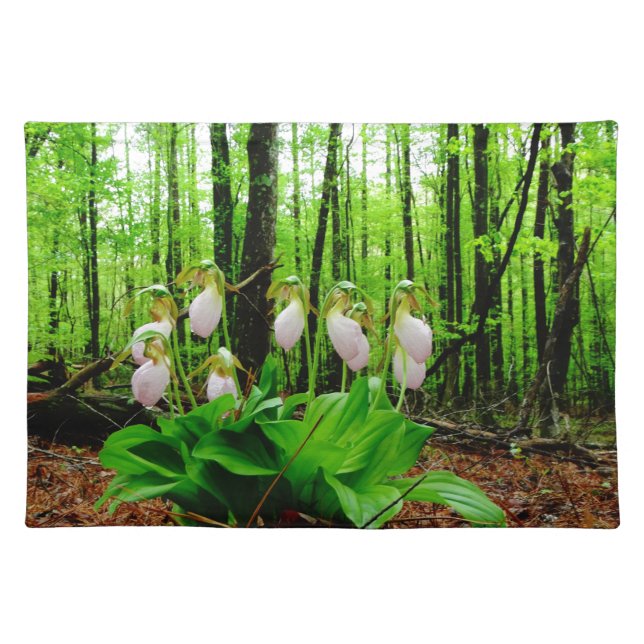 Pink Lady Slipper wild Orchid Placemat (Front)