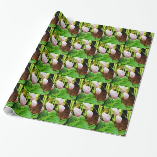 Pink Lady Slipper wild Orchid Wrapping Paper