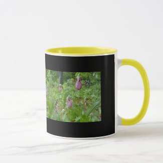 Pink Lady Slippers - Wells Maine - photo by Wendy Mug