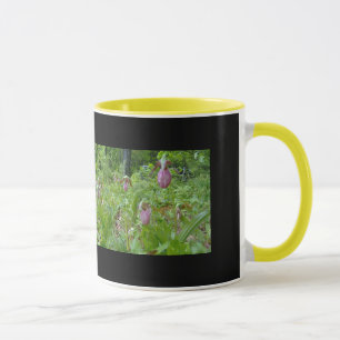 Pink Lady Slippers - Wells Maine - photo by Wendy Mug