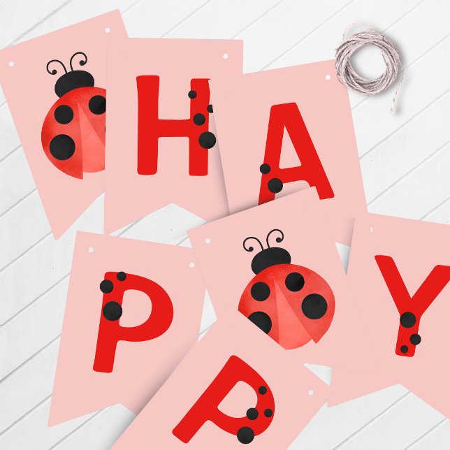 Pink Ladybug Happy Birthday Bunting Banner (Ladybug Happy Birthday Hanging Banner in Red, Black, White and Salmon Pink)