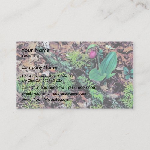 Pink lady's slipper business card