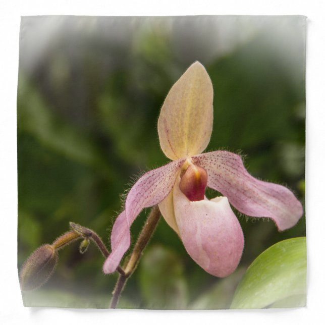 Pink Lady's Slipper Orchid Bandana (Front)