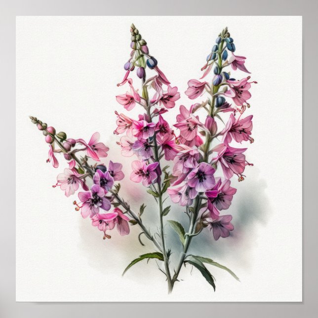 Pink Larkspur Flower Art Print Poster (Front)