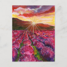 Pink Lavender Field France Provance