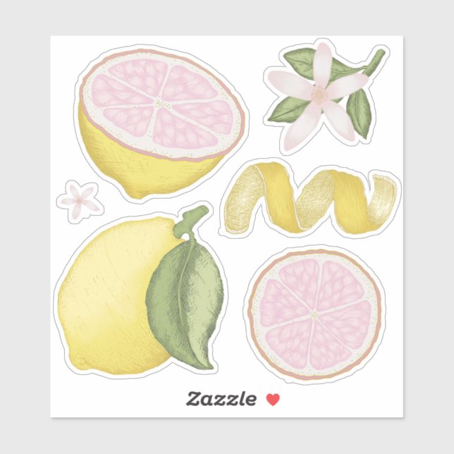 Pink Lemonade Lemon Floral Citrus Sticker Sheet (Sheet)