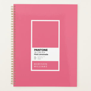 Pink Lemonade Minimalist Color Palette Swatch Planner