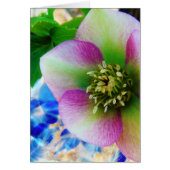 Pink Lenten Rose blue glass ball (Front)