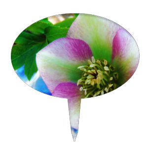 Pink Lenten Rose blue glass ball Cake Topper