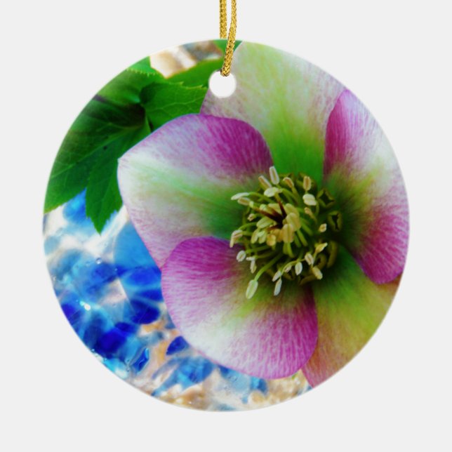 Pink Lenten Rose blue glass ball Ceramic Ornament (Front)