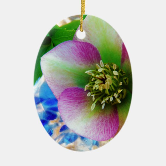 Pink Lenten Rose blue glass ball Ceramic Ornament (Front)