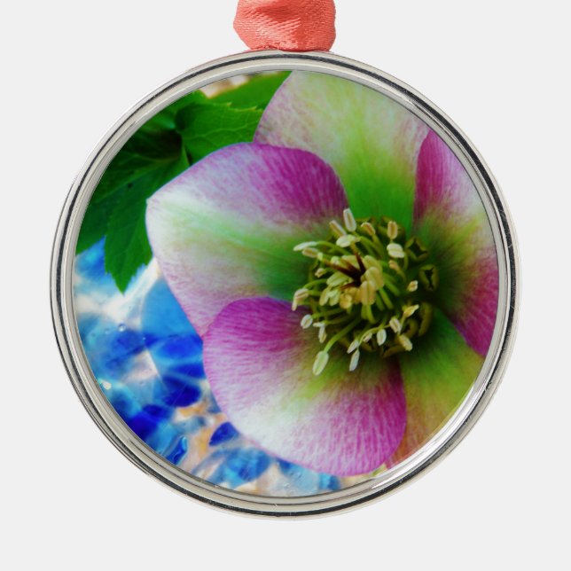 Pink Lenten Rose blue glass ball Metal Ornament (Front)