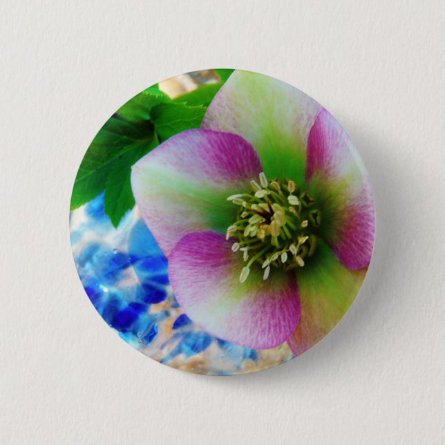 Pink Lenten Rose blue glass ball Pinback Button (Front)