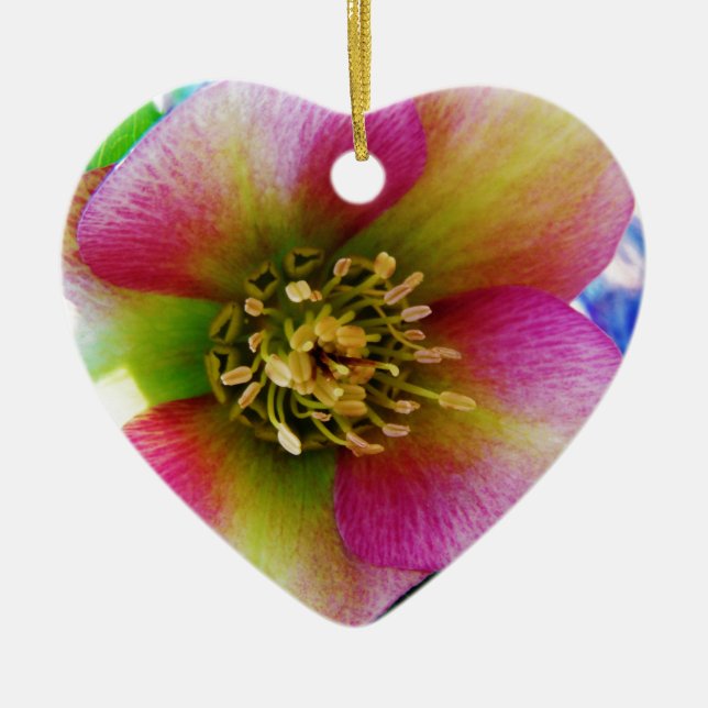 Pink Lenten Rose, Ceramic Ornament (Front)