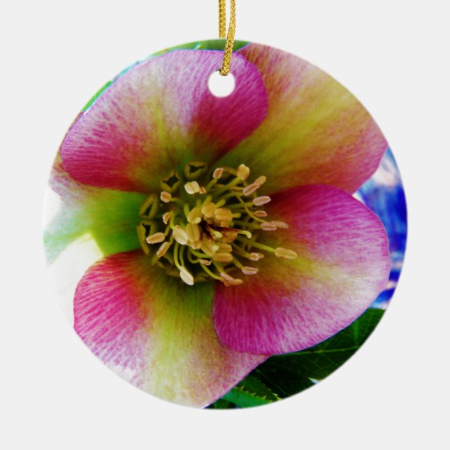 Pink Lenten Rose, Ceramic Ornament (Front)