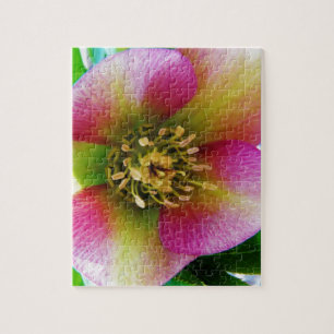 Pink Lenten Rose, Jigsaw Puzzle