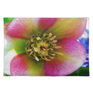 Pink Lenten Rose, Placemat