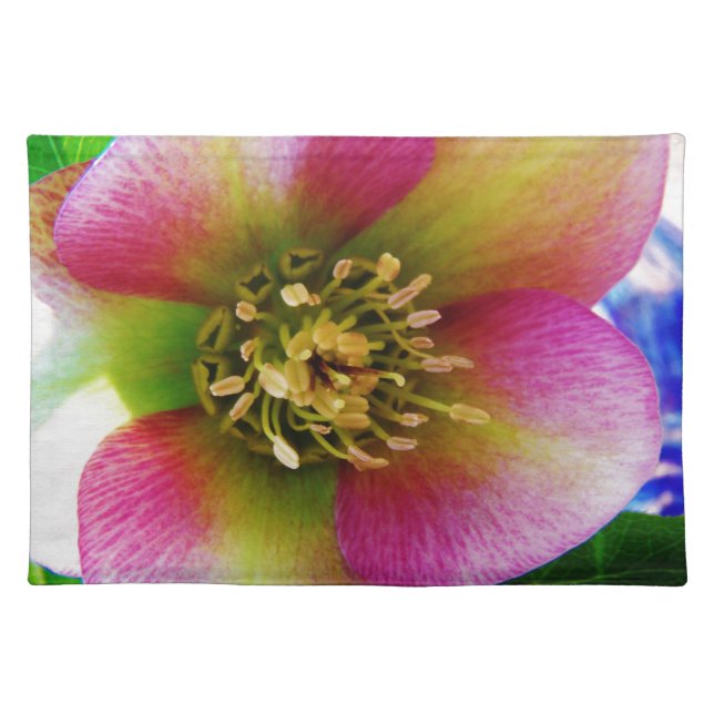 Pink Lenten Rose, Placemat (Front)