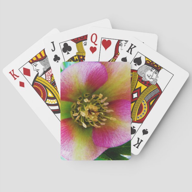 Pink Lenten Rose, Poker Cards (Back)