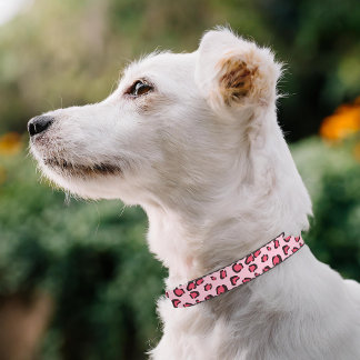 Pink Leopard Print Rosy Chic Animal Print Pattern Pet Collar