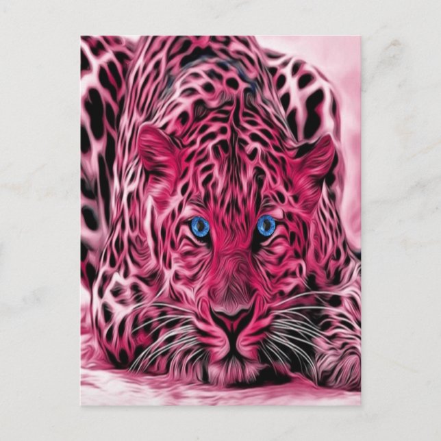 Pink Leopard With Blue Eyes Postcard (Front)