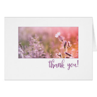 Pink Light Campion Wildflower Thank You Cards