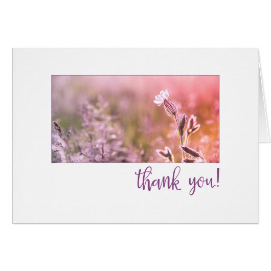 Pink Light Campion Wildflower Thank You Cards (Front Horizontal)