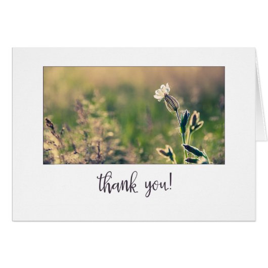 Pink Light Campion Wildflower Thank You Cards (Front Horizontal)
