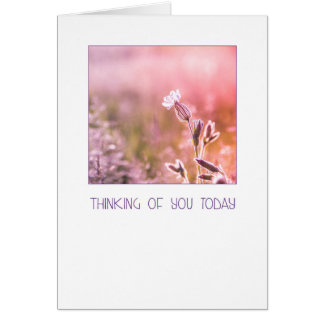 Pink Light Campion Wildflower Thinking of You Cards